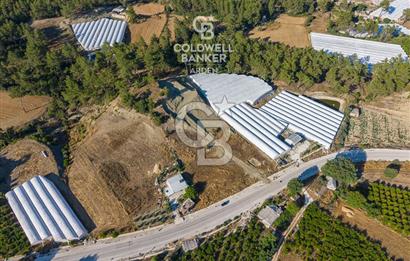 CB ARDEN'DEN KAŞ-ÇEŞME ANAYOLU ÜZERİ SATILIK TARLA 