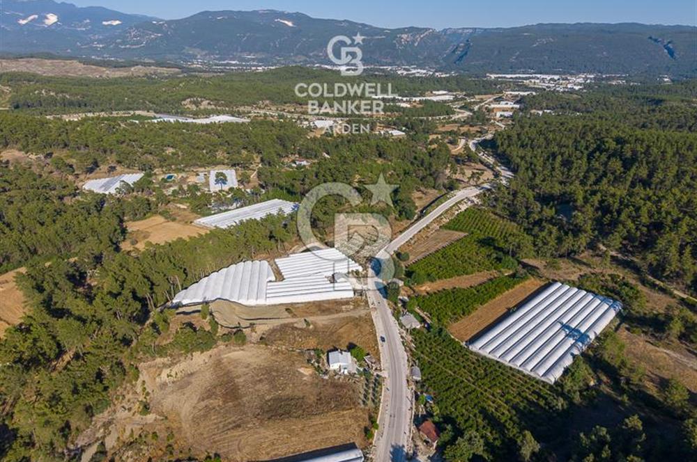 CB ARDEN'DEN KAŞ-ÇEŞME ANAYOLU ÜZERİ SATILIK TARLA 