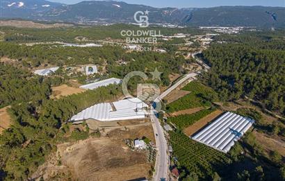 CB ARDEN'DEN KAŞ-ÇEŞME ANAYOLU ÜZERİ SATILIK TARLA 