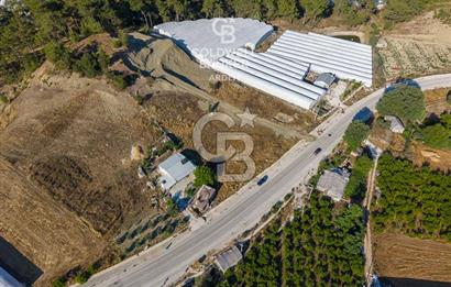 CB ARDEN'DEN KAŞ-ÇEŞME ANAYOLU ÜZERİ SATILIK TARLA 