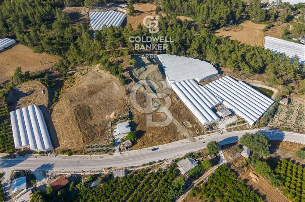 CB ARDEN'DEN KAŞ-ÇEŞME ANAYOLU ÜZERİ SATILIK TARLA 
