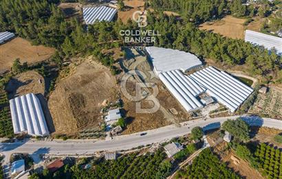 CB ARDEN'DEN KAŞ-ÇEŞME ANAYOLU ÜZERİ SATILIK TARLA 
