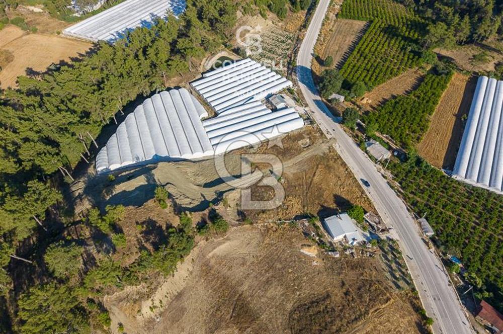 CB ARDEN'DEN KAŞ-ÇEŞME ANAYOLU ÜZERİ SATILIK TARLA 