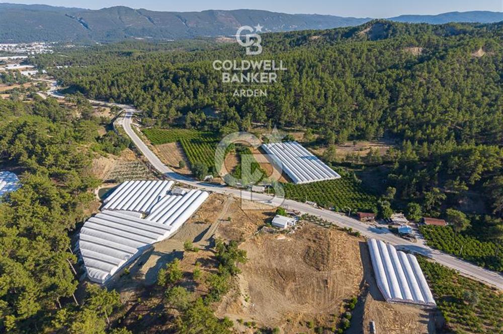 CB ARDEN'DEN KAŞ-ÇEŞME ANAYOLU ÜZERİ SATILIK TARLA 