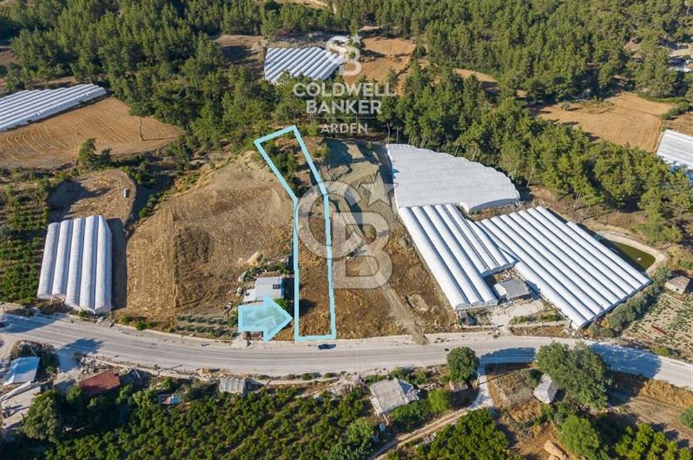 CB ARDEN'DEN KAŞ-ÇEŞME ANAYOLU ÜZERİ SATILIK TARLA 