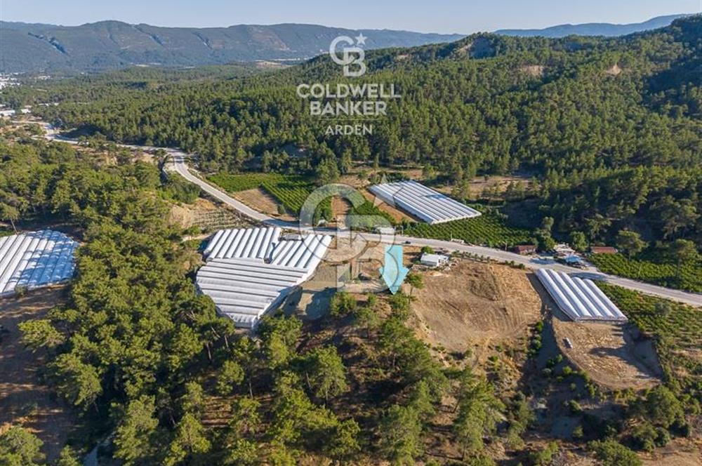 CB ARDEN'DEN KAŞ-ÇEŞME ANAYOLU ÜZERİ SATILIK TARLA 