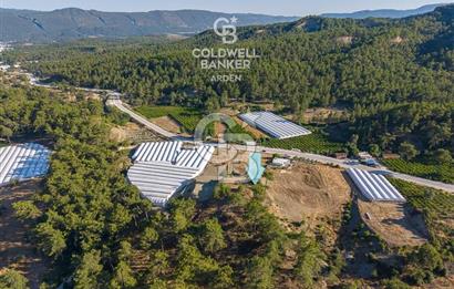 CB ARDEN'DEN KAŞ-ÇEŞME ANAYOLU ÜZERİ SATILIK TARLA 