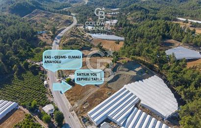 CB ARDEN'DEN KAŞ-ÇEŞME ANAYOLU ÜZERİ SATILIK TARLA 