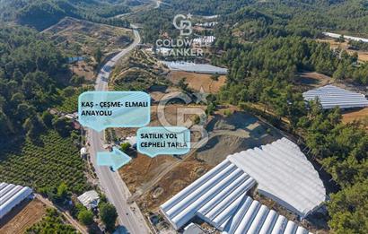 CB ARDEN'DEN KAŞ-ÇEŞME ANAYOLU ÜZERİ SATILIK TARLA 