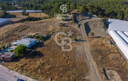 CB ARDEN'DEN KAŞ-ÇEŞME ANAYOLU ÜZERİ SATILIK TARLA 