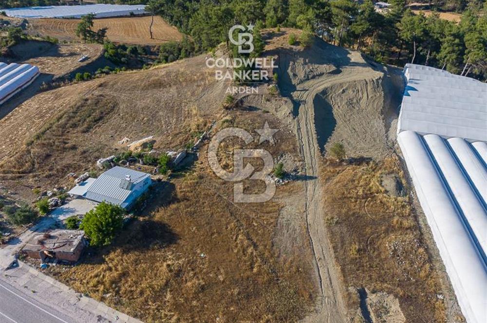 CB ARDEN'DEN KAŞ-ÇEŞME ANAYOLU ÜZERİ SATILIK TARLA 