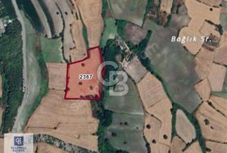 CB CLASS YATIRIMLIK 21 DÖNÜM ARAZİ GÖBEL BALIKESİR - 1 - 369037