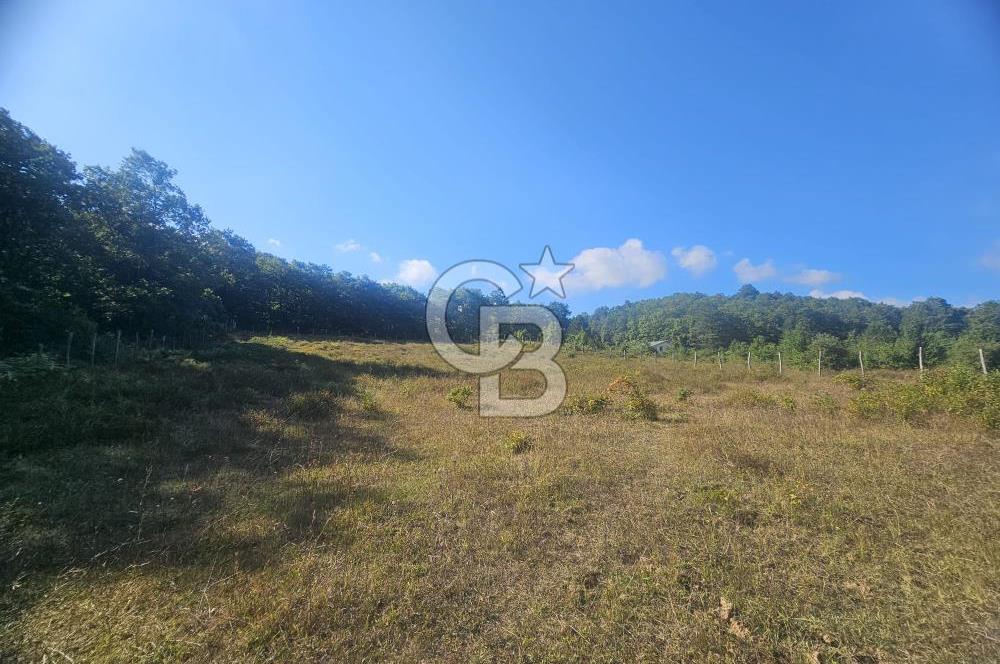 ŞİLE KÖMÜRLÜKTE SATILIK 2640 M2 TARLA