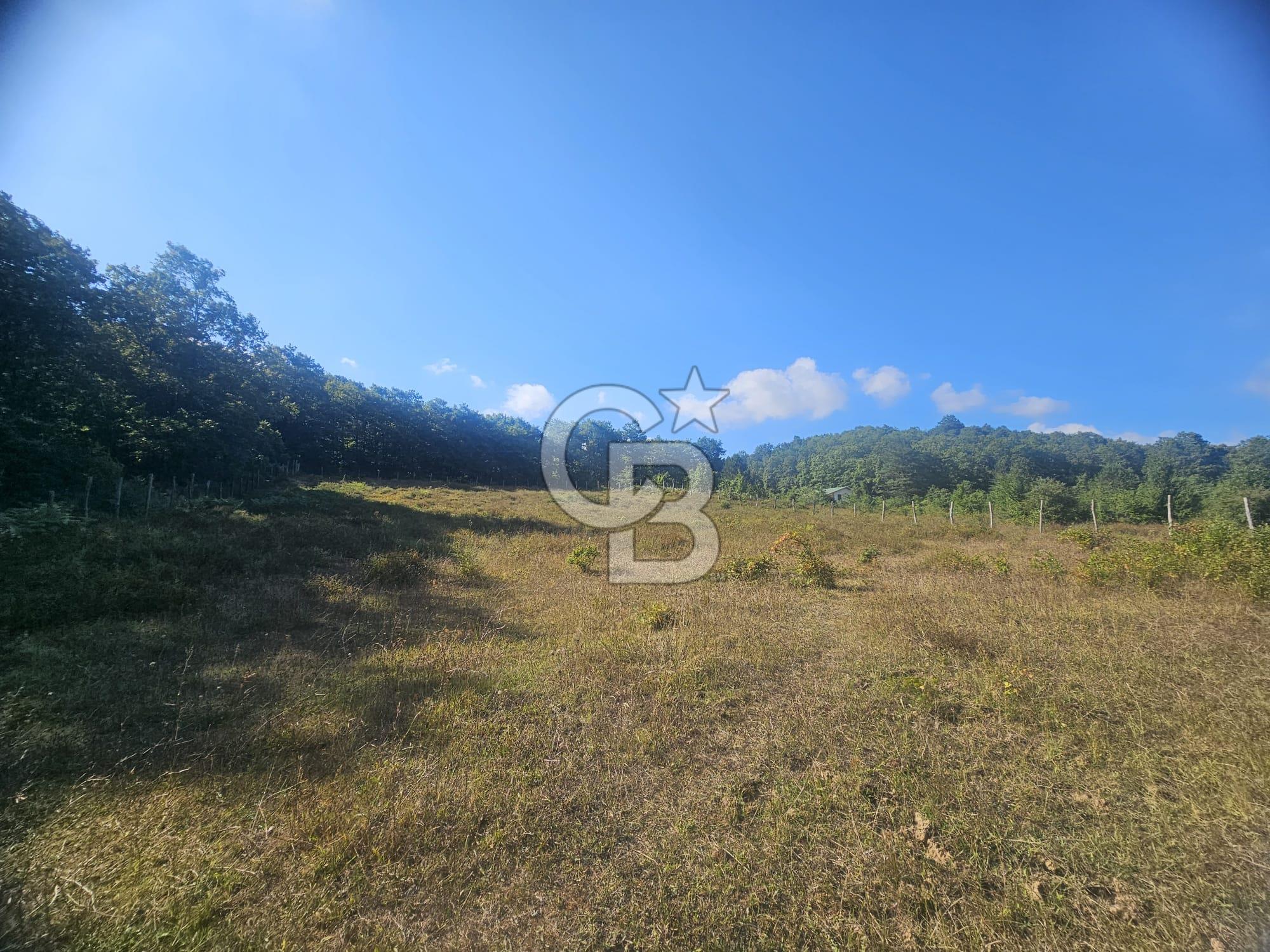 ŞİLE KÖMÜRLÜKTE SATILIK 2640 M2 TARLA