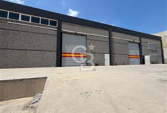 BORNOVA IŞIKKENT TE KİRALIK 550 M2 DEPO - 1 - 369068