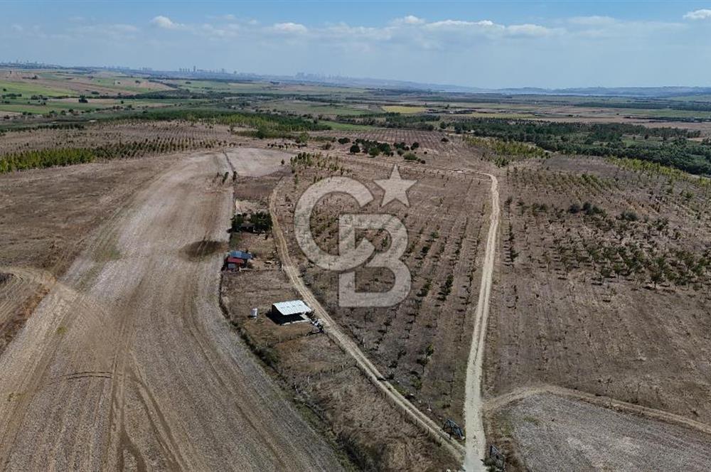 SATILIK ÇATALCA İZZETTİN MAHALLESİNDE