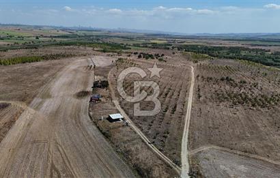 SATILIK ÇATALCA İZZETTİN MAHALLESİNDE