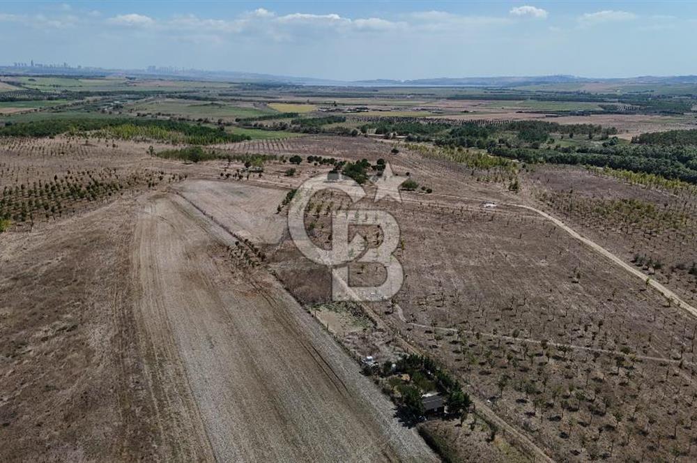 SATILIK ÇATALCA İZZETTİN MAHALLESİNDE
