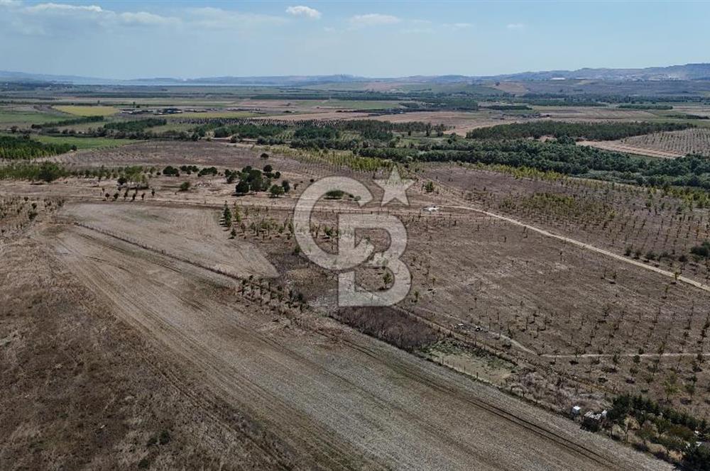 SATILIK ÇATALCA İZZETTİN MAHALLESİNDE