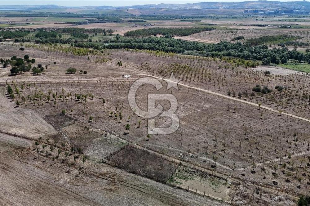 SATILIK ÇATALCA İZZETTİN MAHALLESİNDE