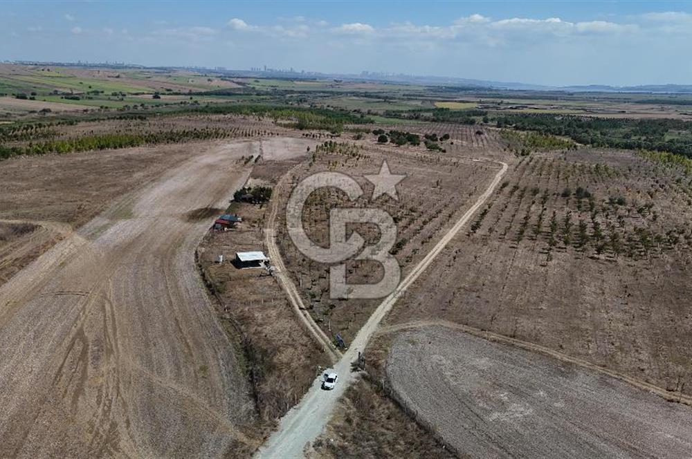 SATILIK ÇATALCA İZZETTİN MAHALLESİNDE