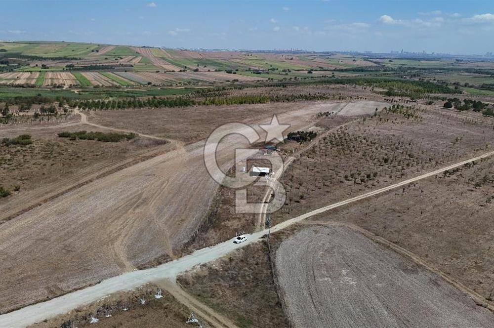 SATILIK ÇATALCA İZZETTİN MAHALLESİNDE