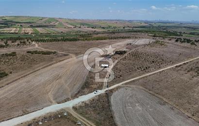 SATILIK ÇATALCA İZZETTİN MAHALLESİNDE