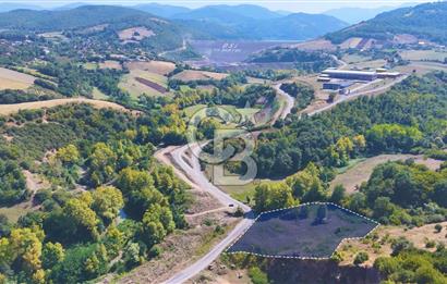 19 Mayıs Çetirlipınar'da Satılık Yol Cepheli Tarla