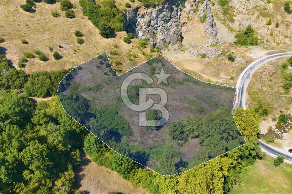 19 Mayıs Çetirlipınar'da Satılık Yol Cepheli Tarla