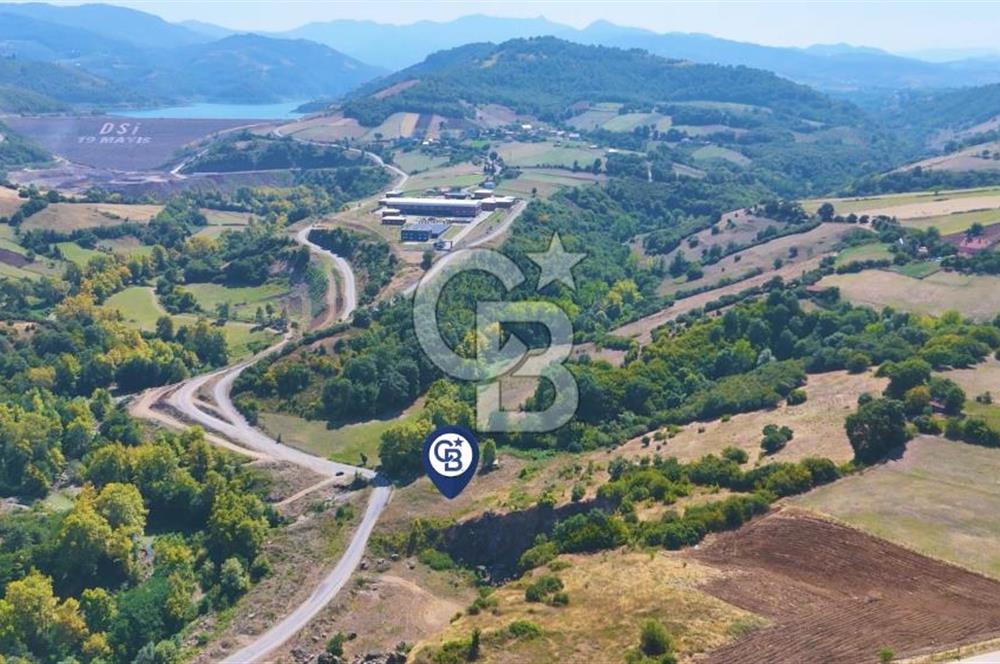 19 Mayıs Çetirlipınar'da Satılık Yol Cepheli Tarla