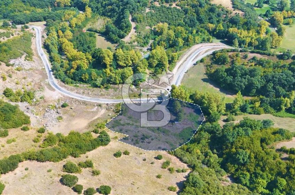 19 Mayıs Çetirlipınar'da Satılık Yol Cepheli Tarla