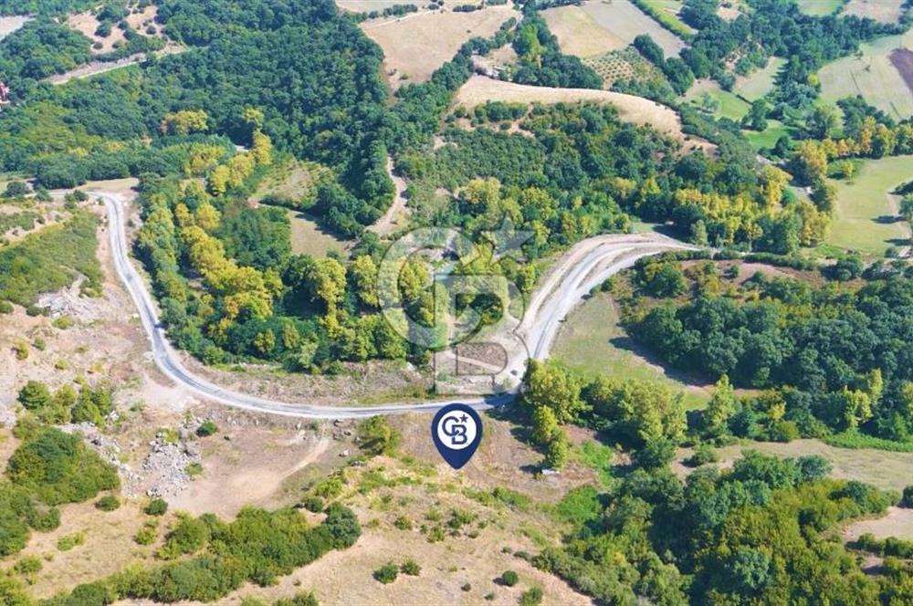 19 Mayıs Çetirlipınar'da Satılık Yol Cepheli Tarla