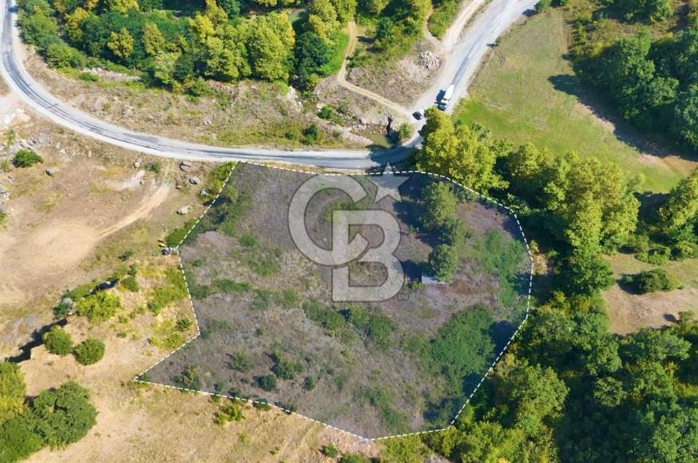 19 Mayıs Çetirlipınar'da Satılık Yol Cepheli Tarla