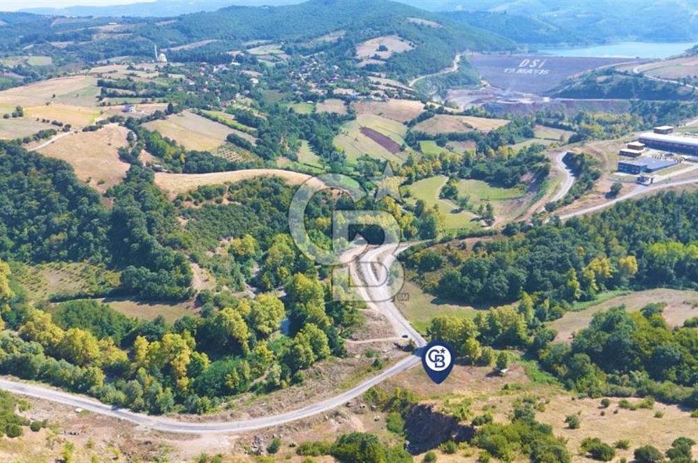 19 Mayıs Çetirlipınar'da Satılık Yol Cepheli Tarla