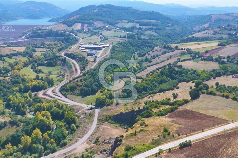 19 Mayıs Çetirlipınar'da Satılık Yol Cepheli Tarla