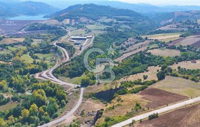 19 Mayıs Çetirlipınar'da Satılık Yol Cepheli Tarla