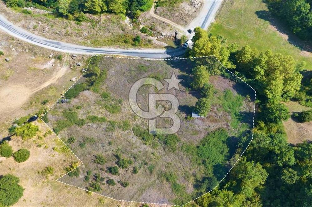 19 Mayıs Çetirlipınar'da Satılık Yol Cepheli Tarla