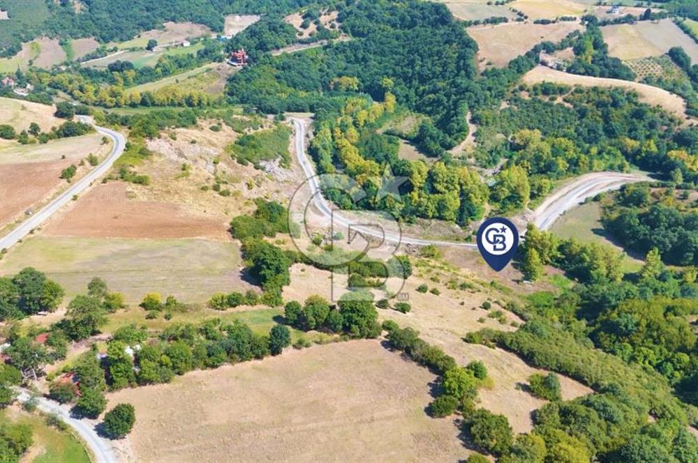 19 Mayıs Çetirlipınar'da Satılık Yol Cepheli Tarla