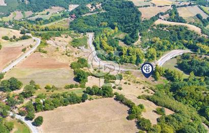 19 Mayıs Çetirlipınar'da Satılık Yol Cepheli Tarla