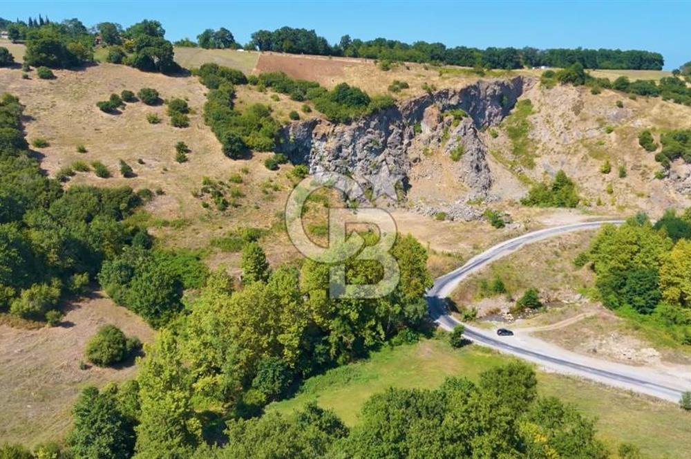19 Mayıs Çetirlipınar'da Satılık Yol Cepheli Tarla