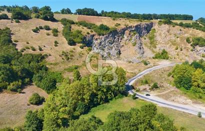 19 Mayıs Çetirlipınar'da Satılık Yol Cepheli Tarla