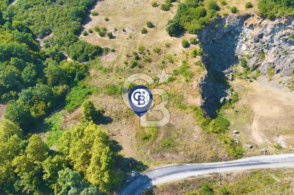 19 Mayıs Çetirlipınar'da Satılık Yol Cepheli Tarla
