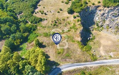 19 Mayıs Çetirlipınar'da Satılık Yol Cepheli Tarla