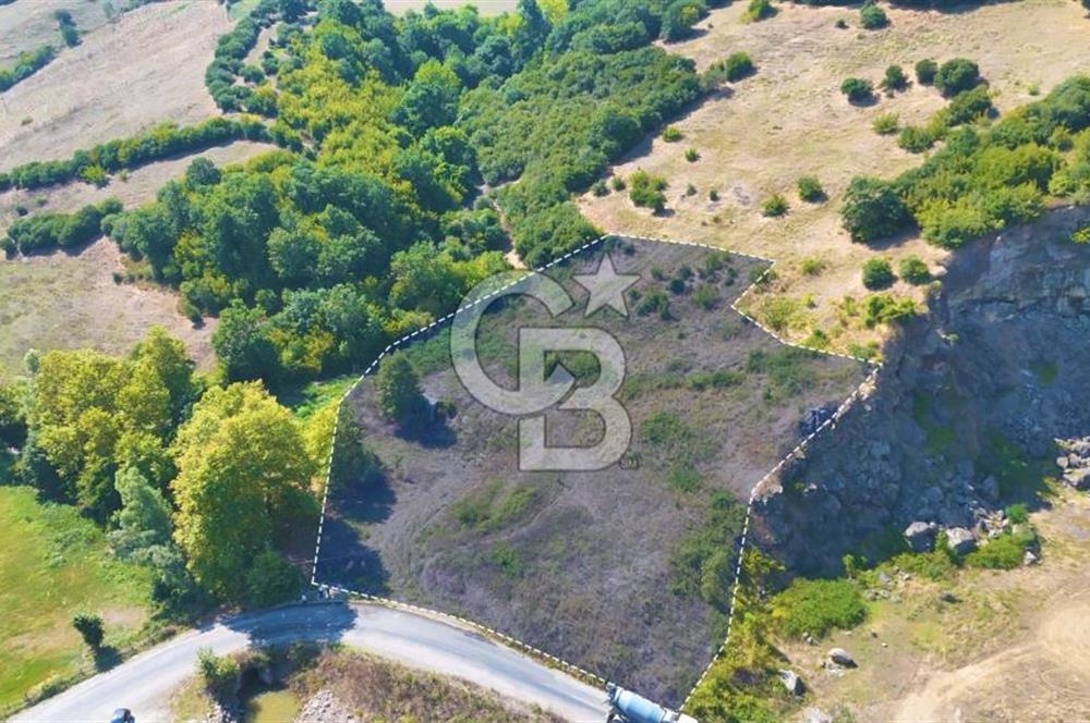 19 Mayıs Çetirlipınar'da Satılık Yol Cepheli Tarla
