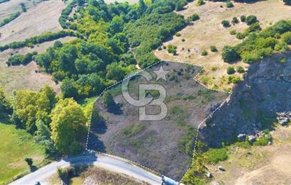 19 Mayıs Çetirlipınar'da Satılık Yol Cepheli Tarla