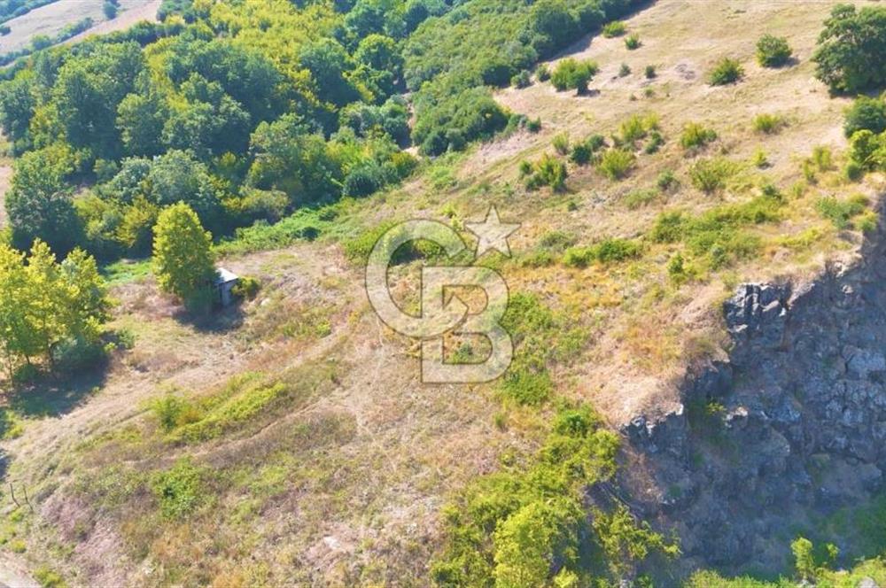 19 Mayıs Çetirlipınar'da Satılık Yol Cepheli Tarla