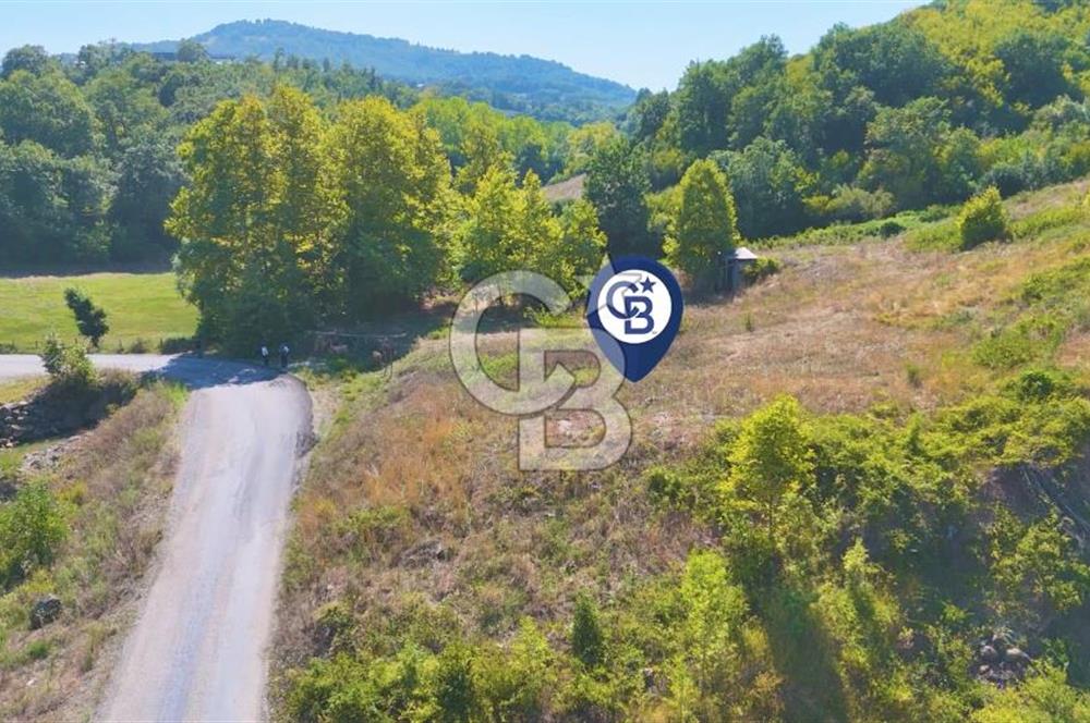 19 Mayıs Çetirlipınar'da Satılık Yol Cepheli Tarla