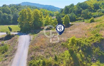 19 Mayıs Çetirlipınar'da Satılık Yol Cepheli Tarla