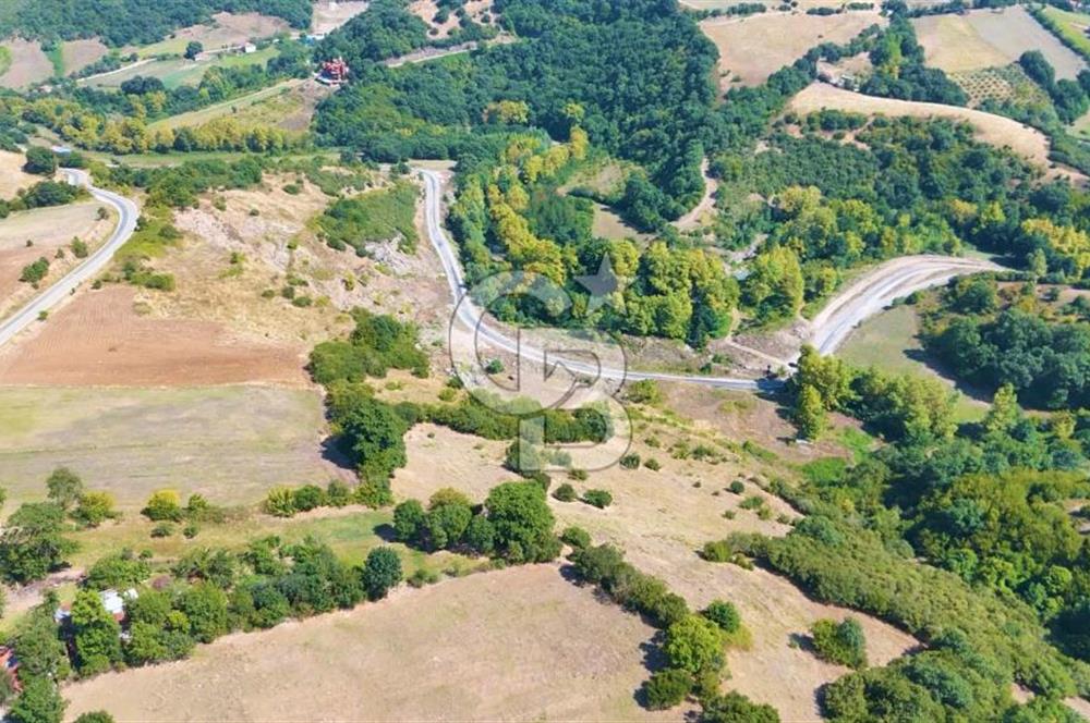 19 Mayıs Çetirlipınar'da Satılık Yol Cepheli Tarla