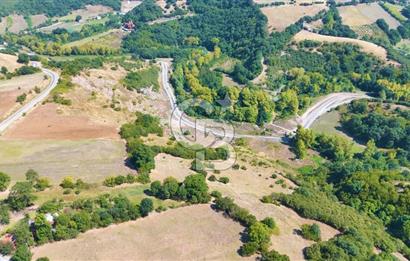 19 Mayıs Çetirlipınar'da Satılık Yol Cepheli Tarla